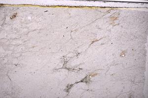 Plane Polarized, E39291