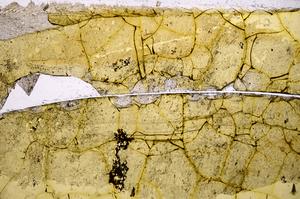 Plane Polarized, E39294