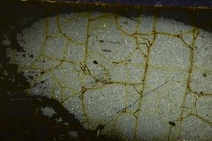 Cross Polarized, E39295