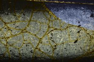 Cross Polarized, E39296