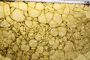 Plane Polarized, E39344