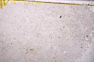 Plane Polarized, E39354