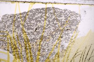 Plane Polarized, E39373