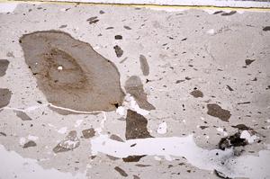 Plane Polarized, E39393