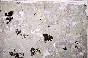 Plane Polarized, E39462/A