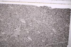 Plane Polarized, E39469