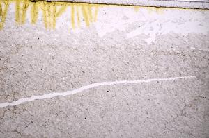 Plane Polarized, E39481