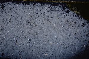 Cross Polarized, E39491