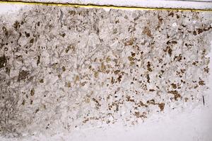 Plane Polarized, E39537