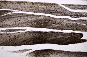 Plane Polarized, E39540