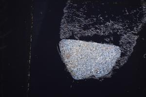 Cross Polarized, E39546