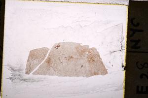 Plane Polarized, E39546/A