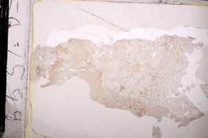 Plane Polarized, E39547