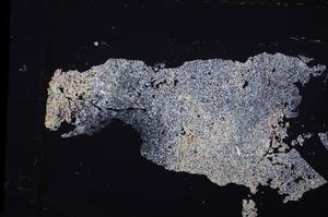 Cross Polarized, E39547