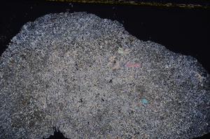 Cross Polarized, E39547/B