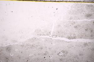 Plane Polarized, E39550