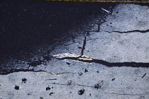 Cross Polarized, E39550