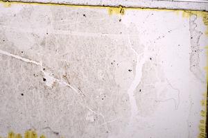 Plane Polarized, E39551