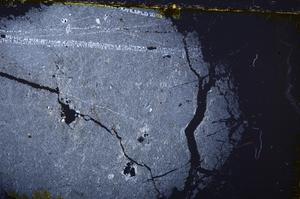 Cross Polarized, E39551