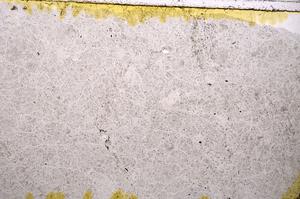 Plane Polarized, E39552