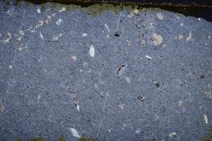 Cross Polarized, E39552