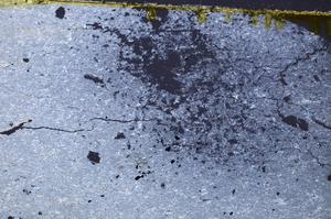 Cross Polarized, E39553