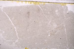 Plane Polarized, E39554