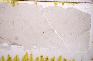 Plane Polarized, E39555