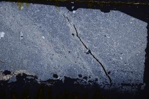 Cross Polarized, E39555