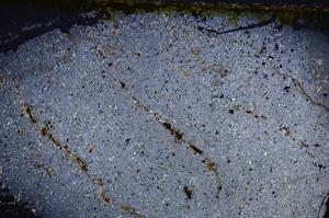 Cross Polarized, E39562