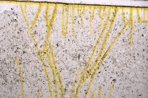 Plane Polarized, E39580