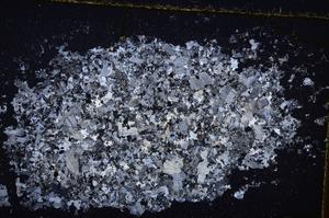 Cross Polarized, E39581