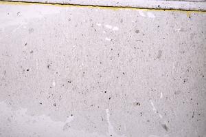 Plane Polarized, E39682