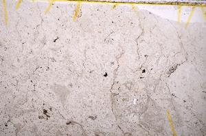 Plane Polarized, E39689