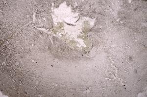 Plane Polarized, E39693