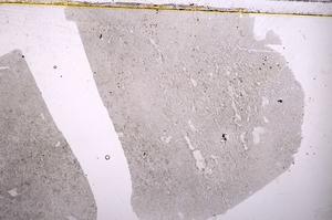 Plane Polarized, E39693/A