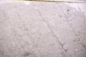 Plane Polarized, E39715