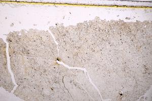 Plane Polarized, E39720