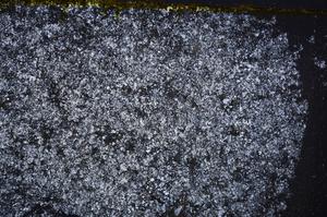 Cross Polarized, E39741