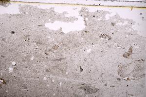 Plane Polarized, E39762