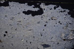 Cross Polarized, E39762