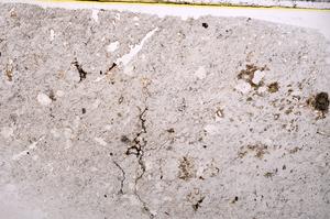 Plane Polarized, E39763