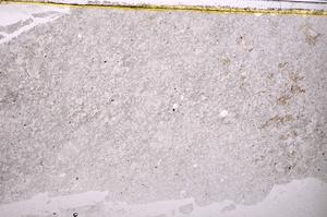 Plane Polarized, E39764