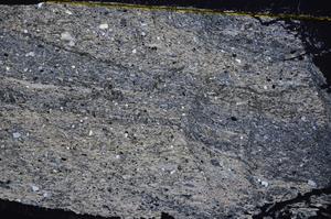 Cross Polarized, E39879