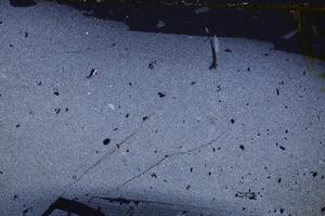 Cross Polarized, E39968