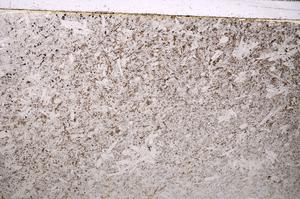 Plane Polarized, E40007