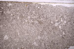 Plane Polarized, E40031