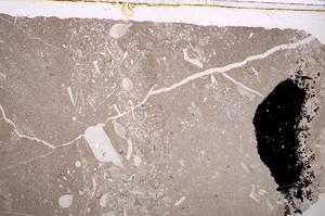 Plane Polarized, E40032