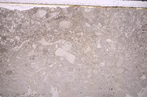 Plane Polarized, E40033