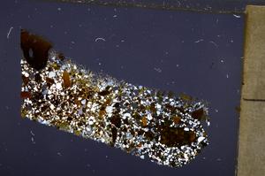 Cross Polarized, E40048